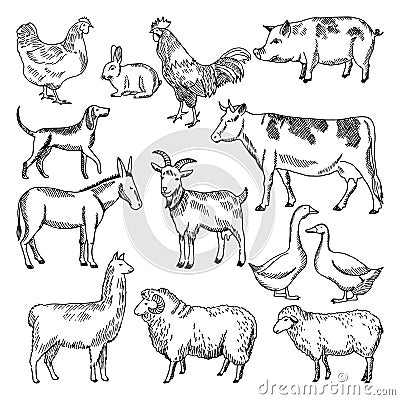 Vintage farm animals. Farming illustration in hand drawn style Vector Illustration