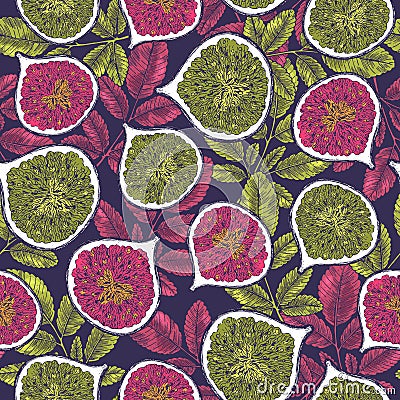 Vintage fig seamless pattern. Botanical background. Engraved fig. Vector illustration Vector Illustration