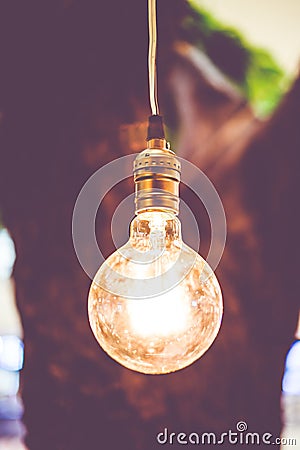 Vintage filter : Vintage lightbulb hanging on tree Stock Photo