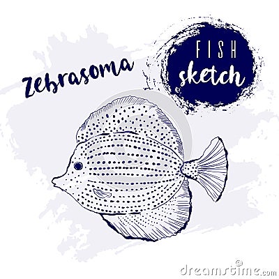 Vintage fish zebrasoma marine sketch.Retro line style.Hand drawn underwater. Vector Illustration