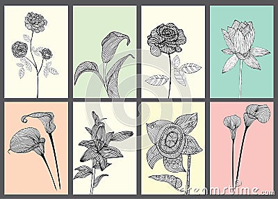 Vintage Floral Cards Set. Vector Illustration