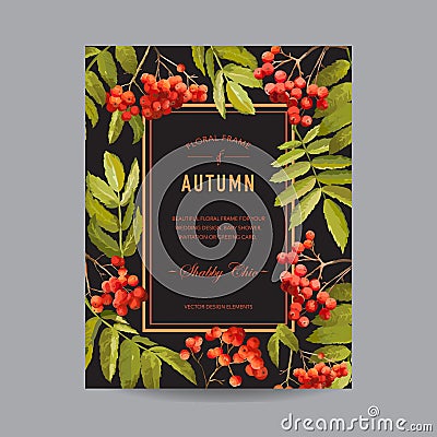Vintage Floral Frame - Autumn Rowan Berries - for Invitation Vector Illustration