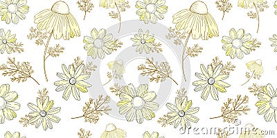 Vintage floral pattern. Wildflowers pattern. Old Texura. beige background, white flowers. Adonis, Echinacea, Chamomile. Vector Vector Illustration