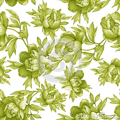 Vintage floral seamless greenery monochrome pattern with flowering peonies, on white background. Watercolor hand drawn painting il Cartoon Illustration