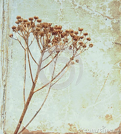 Vintage flower Stock Photo