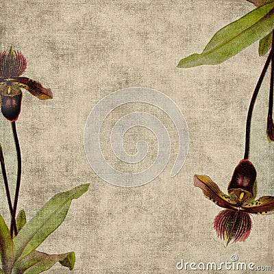 Vintage Flower Scrapbook Background Stock Photo