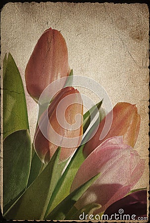 Vintage flowers Stock Photo