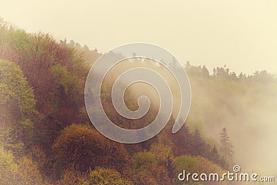 Vintage foggy landscape, forest with clouds Stock Photo