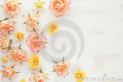 Vintage fresh rose floral background Stock Photo