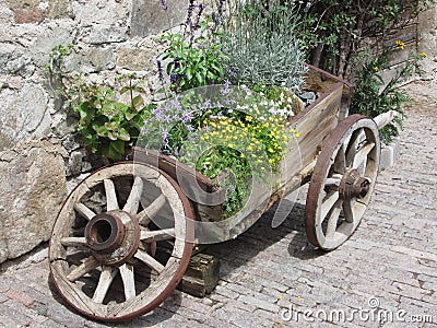 Vintage garden barrow with wild flowers and herbs . Fie allo Sciliar, South Tyrol, Italy Stock Photo