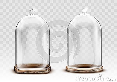 Vintage glass dome and wooden tray realistic Vector Illustration