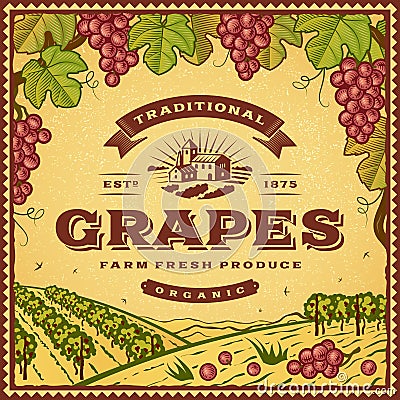 Vintage grapes label Vector Illustration