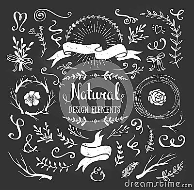 Vintage graphic set of flowers, branches, leafs and rustic design elements. Vector Illustration