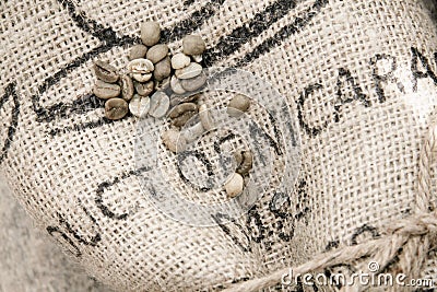 Organic Green Coffee Beans, Old Rustic Jute Bag, Cord, Wooden Table, Raw Grains, Craftsmanship, Exportation, Harvest Stock Photo