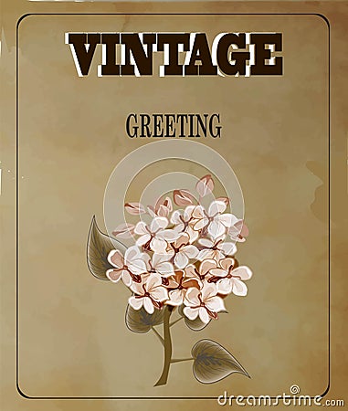 Vintage greeting card with flowers on vintage background Vector Illustration