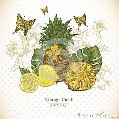 Vintage Greeting Card Tropical Fruit, Flowers Vector Illustration