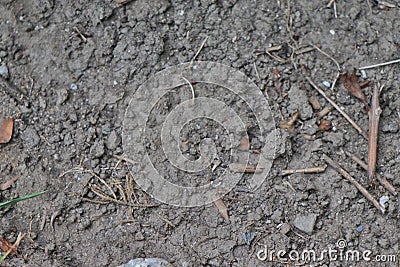 Vintage Grungy old burned ground soil texture background no 20. Stock Photo