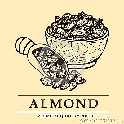 Vintage hand drawn logo for web site or shop, bowl of almonds with spatula, premium quality organic almond nuts vector illustratio Vector Illustration