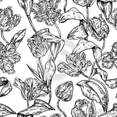 Vintage hand drawn realistic vector tulip seamless Vector Illustration