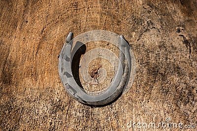 Vintage horseshoe with metal nails Stock Photo