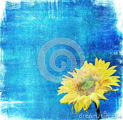 Vintage image of sunflower on grunge background Stock Photo