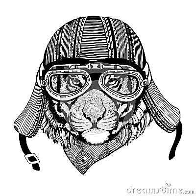 Vintage Image TIGER for t-shirt design for motorcycle, bike, motorbike, scooter club, aero club Stock Photo