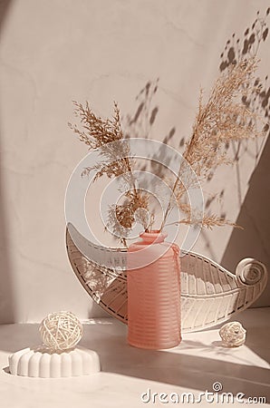 Geometric shapes, plate, vase with Cortaderia selloana flowers on a beige. Stock Photo