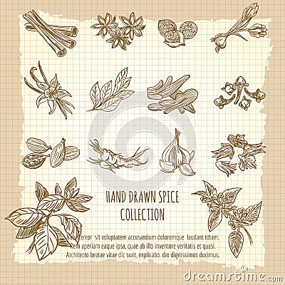 Vintage kitchen poster with spice collection Vector Illustration