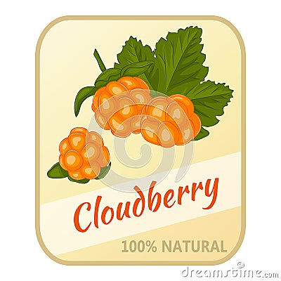 Vintage label with cloudberry isolated on white background in cartoon style. Vector illustration. Berries Collection. Vector Illustration