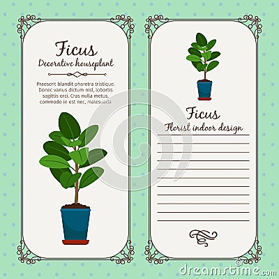 Vintage label with decorative ficus plant Vector Illustration