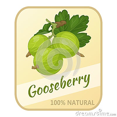 Vintage label with gooseberry isolated on white background in cartoon style. Vector illustration. Berries Collection. Vector Illustration