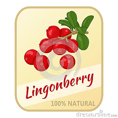 Vintage label with lingonberry isolated on white background in cartoon style. Vector illustration. Berries Collection. Vector Illustration