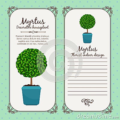 Vintage label with myrtus plant Vector Illustration