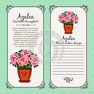 Vintage label with potted flower azalea Vector Illustration