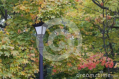 Vintage lantern in the city park. The trees show colorful autumn leaves Stock Photo