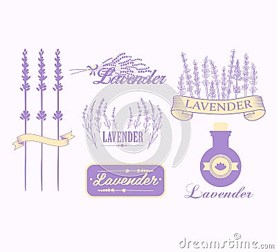 Vintage lavender background, aromatherapy and spa Vector Illustration