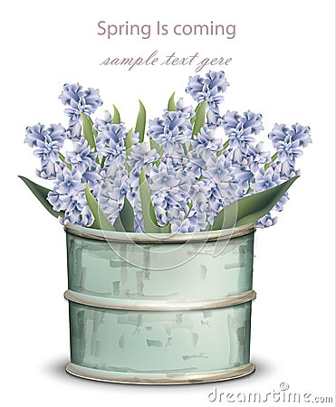 Vintage Lavender bouquet Vector. Spring backgrounds Vector Illustration