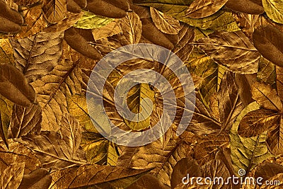 Vintage leaves retro style background Stock Photo