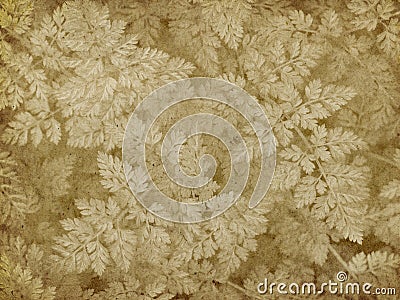 Vintage Lichen Imprint Stock Photo