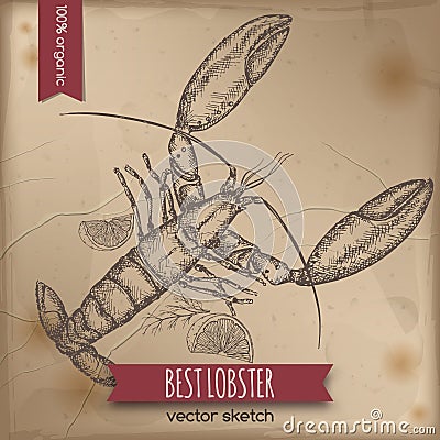 Vintage lobster template Vector Illustration