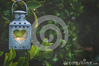 Vintage Metal Heart Shape Candle Holder Lit Burning Flame Hanging on Tree Branch in Garden. Valentine Mother`s Day Stock Photo