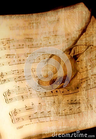 Vintage Music With Rose Stock Photo