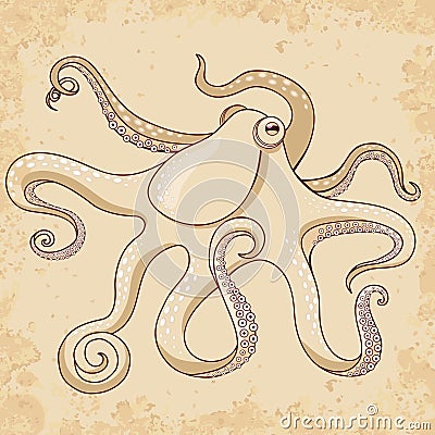 Vintage octopus illustration Cartoon Illustration