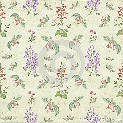 Vintage old floral botany repeat pattern paper wallpaper Stock Photo