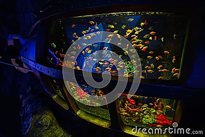 Vintage old underwater submarine with fishes inside at oceanarium exhibit Stock Photo