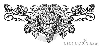 Hand drawn vine with leaves and bunch of grapes in retro style. Vintage pattern for restaurant label or menu design Stock Photo