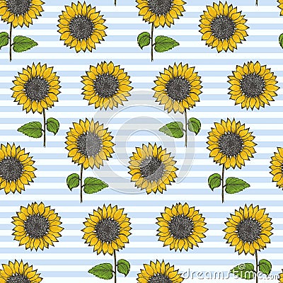 Vintage pattern with sunflowers on striped blue Vector Illustration