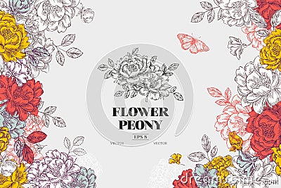 Vintage peony flower background. Flower Vector Illustration