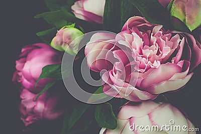 Vintage Peony Rose Flower Stock Photo