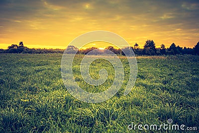 Vintage photo of beautiful landscape with morning meadow Stock Photo